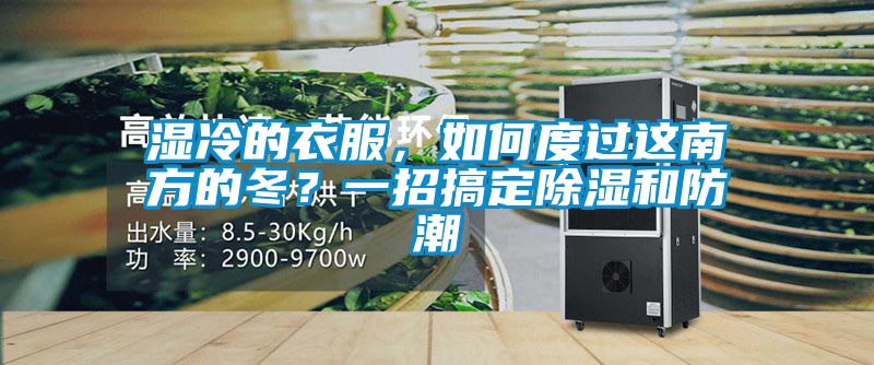 濕冷的衣服，如何度過這南方的冬？一招搞定除濕和防潮