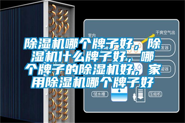 除濕機(jī)哪個牌子好，除濕機(jī)什么牌子好，哪個牌子的除濕機(jī)好，家用除濕機(jī)哪個牌子好