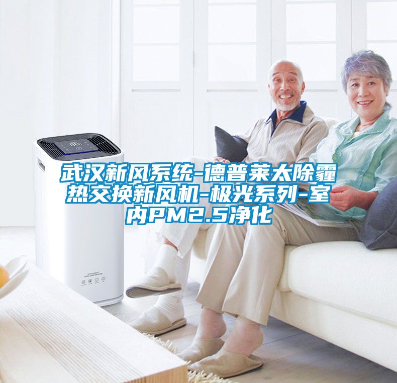 武漢新風系統(tǒng)-德普萊太除霾熱交換新風機-極光系列-室內PM2.5凈化