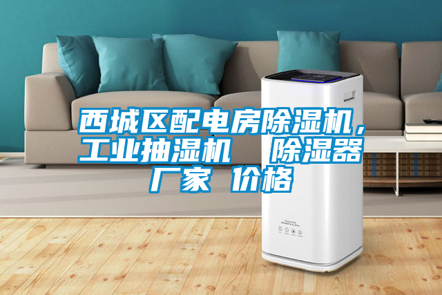 西城區(qū)配電房除濕機(jī),工業(yè)抽濕機(jī)  除濕器廠家 價格