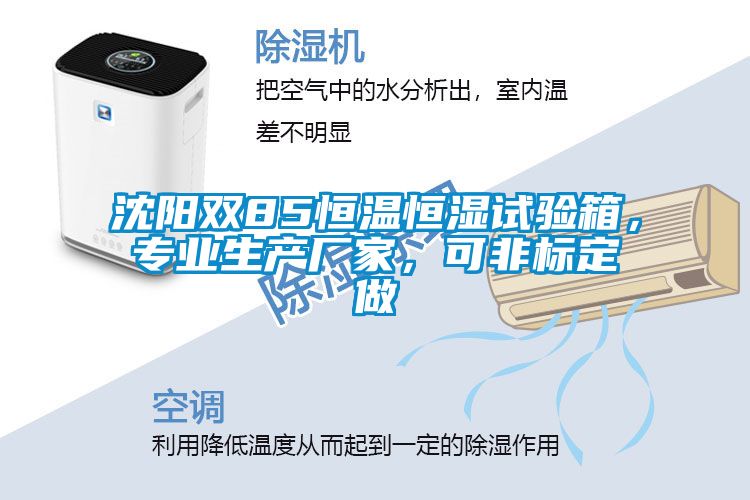 沈陽雙85恒溫恒濕試驗(yàn)箱,專業(yè)生產(chǎn)廠家,可非標(biāo)定做