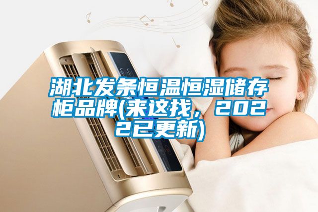湖北發條恒溫恒濕儲存柜品牌(來這找，2022已更新)