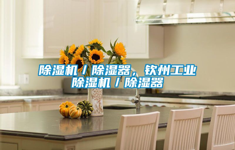 除濕機／除濕器，欽州工業除濕機／除濕器