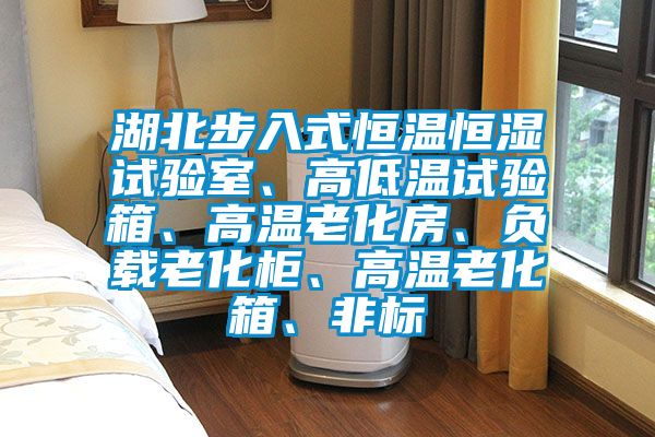 湖北步入式恒溫恒濕試驗(yàn)室、高低溫試驗(yàn)箱、高溫老化房、負(fù)載老化柜、高溫老化箱、非標(biāo)