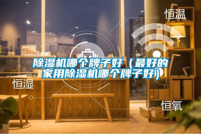 除濕機哪個牌子好(最好的家用除濕機哪個牌子好)