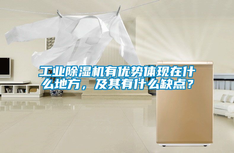 工業除濕機有優勢體現在什么地方,及其有什么缺點?