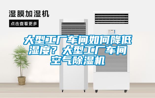 大型工廠車間如何降低濕度?大型工廠車間空氣除濕機(jī)