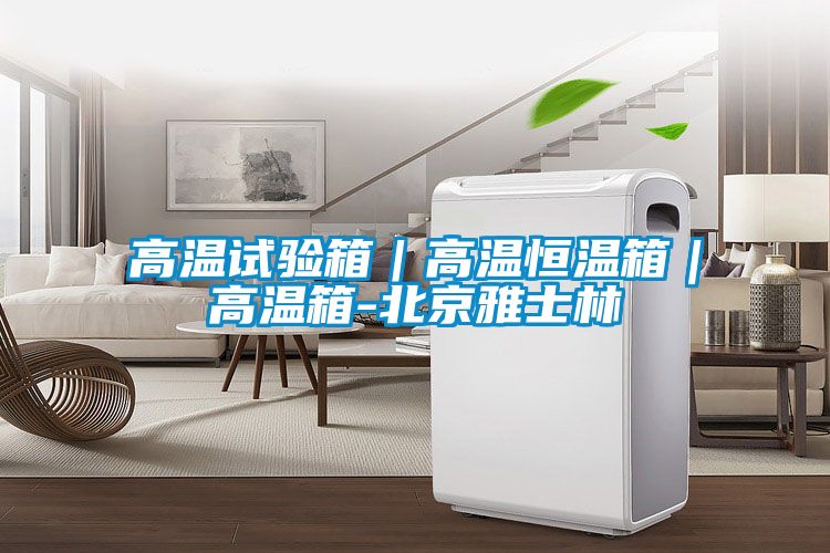 高溫試驗箱|高溫恒溫箱|高溫箱-北京雅士林