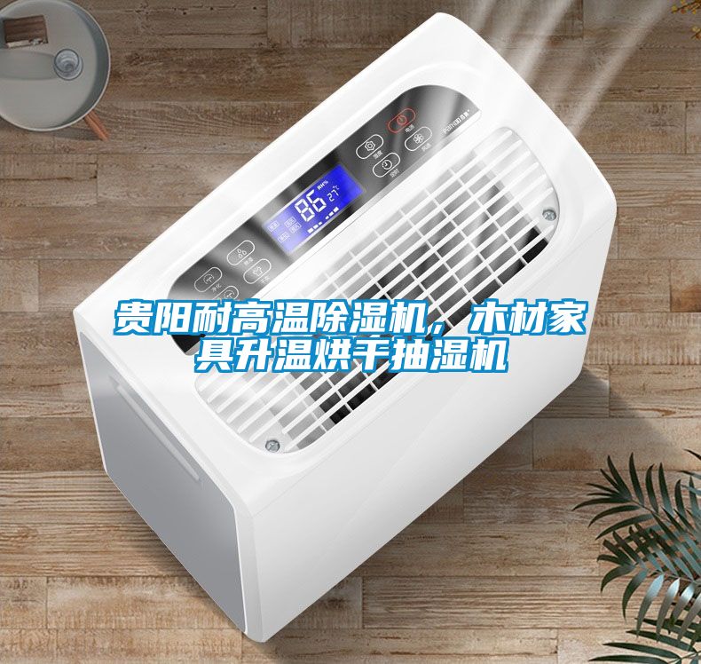 貴陽耐高溫除濕機(jī)，木材家具升溫烘干抽濕機(jī)