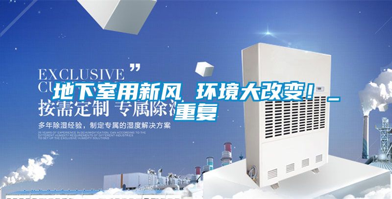 地下室用新風 環境大改變!_重復