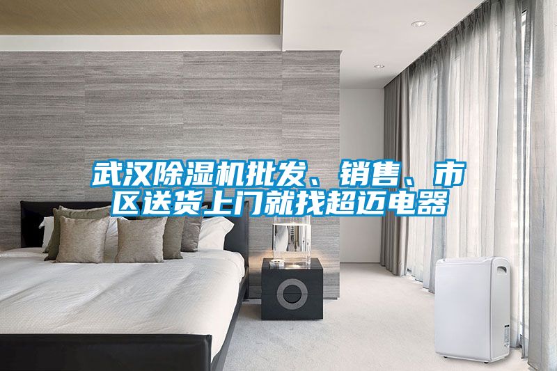 武漢除濕機(jī)批發(fā)、銷(xiāo)售、市區(qū)送貨上門(mén)就找超邁電器