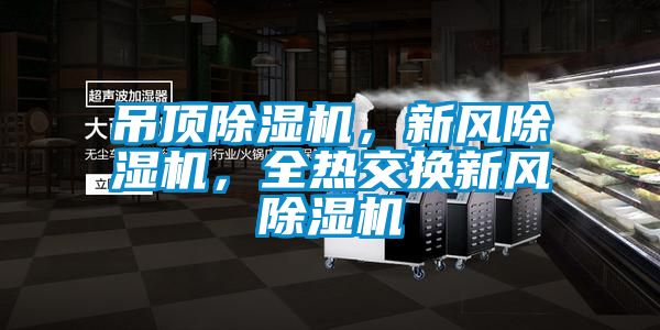 吊頂除濕機,新風除濕機,全熱交換新風除濕機