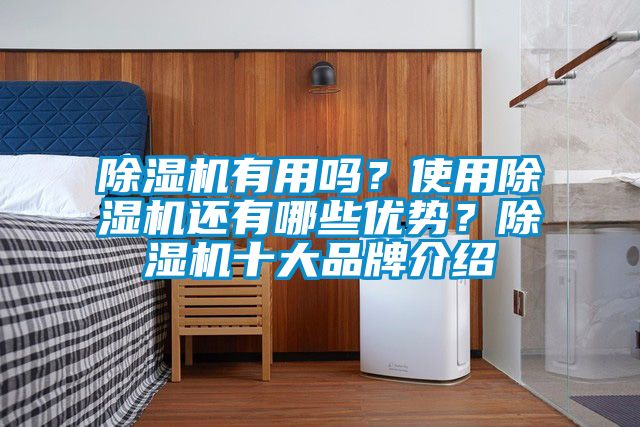 除濕機有用嗎?使用除濕機還有哪些優(yōu)勢?除濕機十大品牌介紹