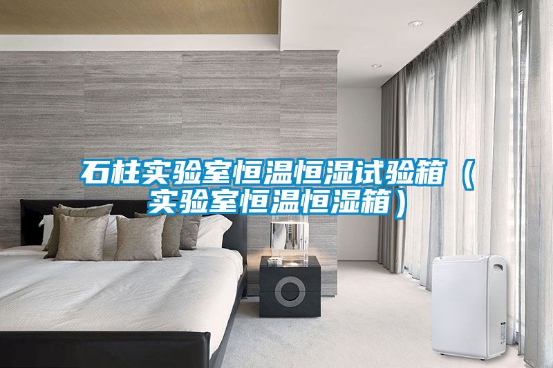 石柱實驗室恒溫恒濕試驗箱(實驗室恒溫恒濕箱)