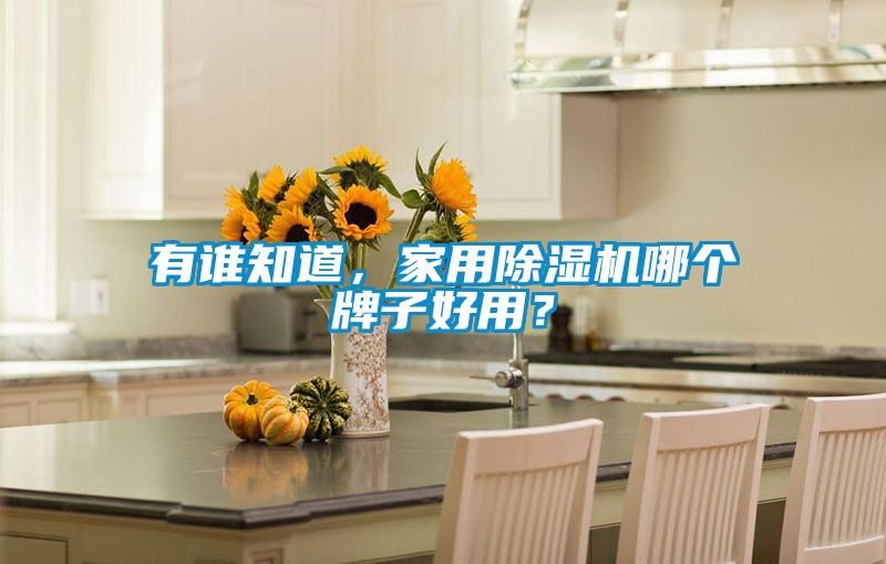 有誰知道，家用除濕機(jī)哪個牌子好用？
