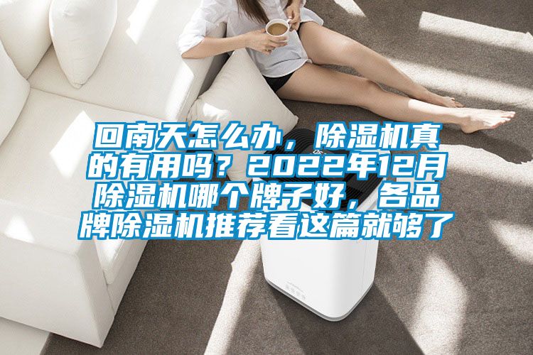 回南天怎么辦,除濕機(jī)真的有用嗎?2022年12月除濕機(jī)哪個牌子好,各品牌除濕機(jī)推薦看這篇就夠了