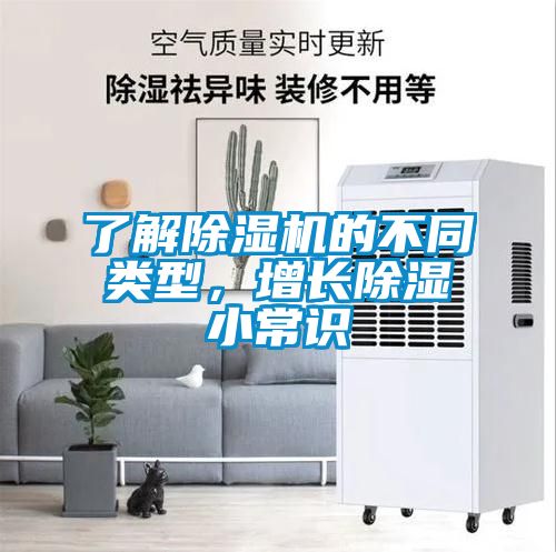 了解除濕機的不同類型，增長除濕小常識
