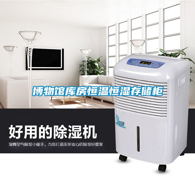 博物館庫(kù)房恒溫恒濕存儲(chǔ)柜