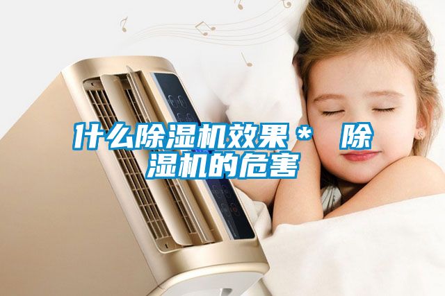 什么除濕機效果* 除濕機的危害