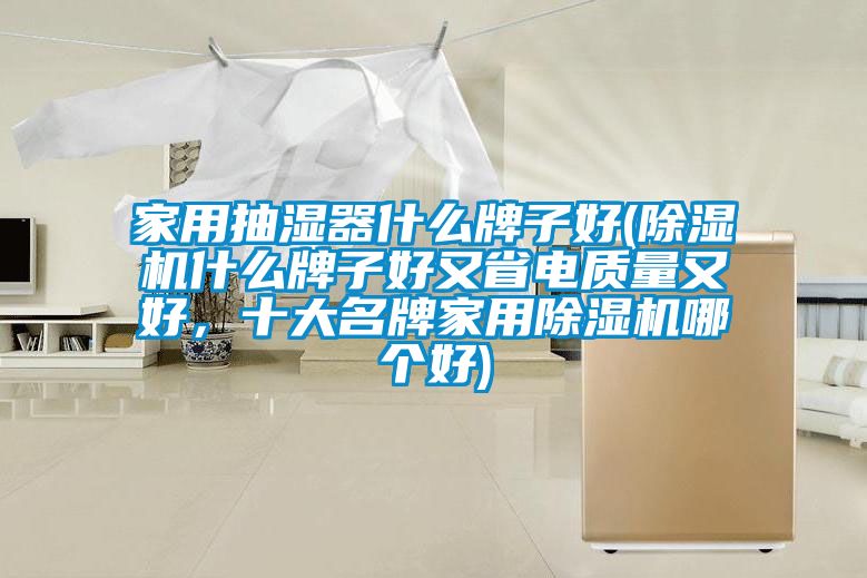 家用抽濕器什么牌子好(除濕機什么牌子好又省電質量又好，十大名牌家用除濕機哪個好)