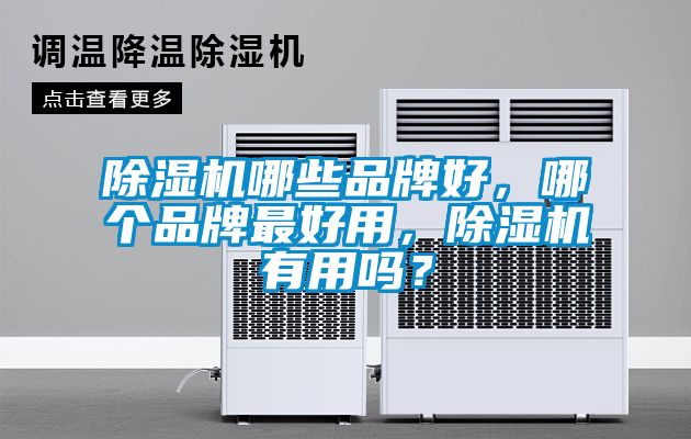 除濕機(jī)哪些品牌好,哪個品牌最好用,除濕機(jī)有用嗎?