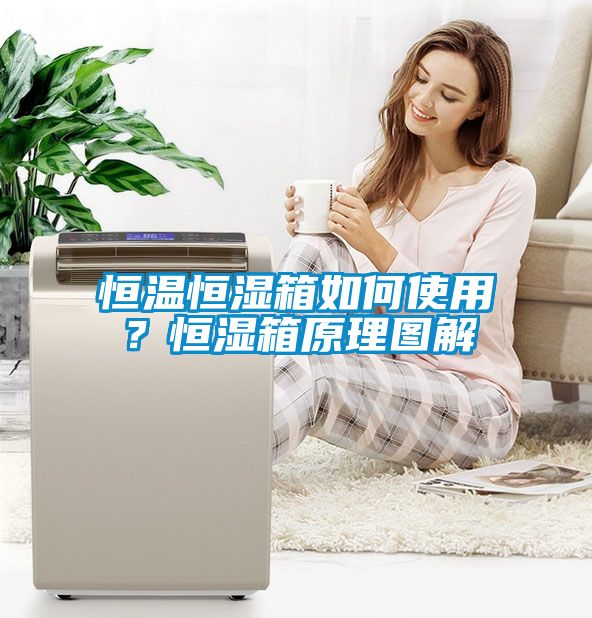 恒溫恒濕箱如何使用？恒濕箱原理圖解