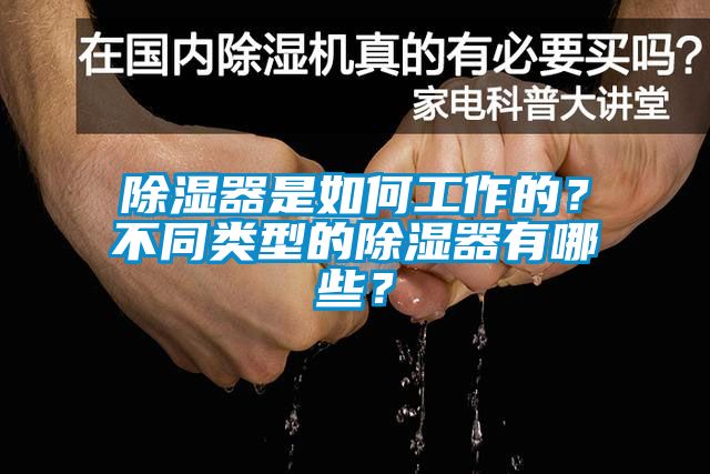 除濕器是如何工作的？不同類型的除濕器有哪些？