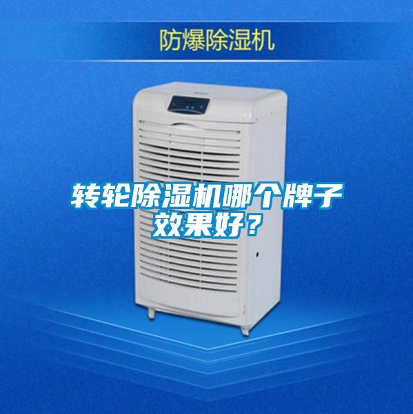 轉輪除濕機哪個牌子效果好？