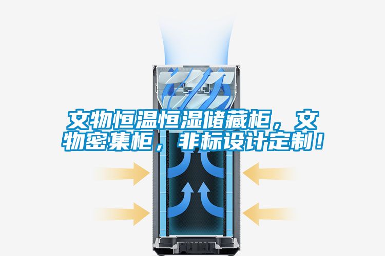 文物恒溫恒濕儲藏柜，文物密集柜，非標設計定制！