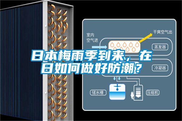 日本梅雨季到來，在日如何做好防潮？