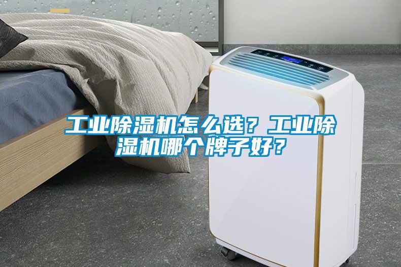 工業除濕機怎么選?工業除濕機哪個牌子好?