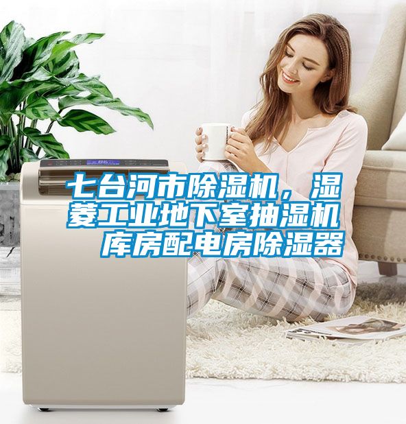七臺(tái)河市除濕機(jī),濕菱工業(yè)地下室抽濕機(jī)  庫(kù)房配電房除濕器