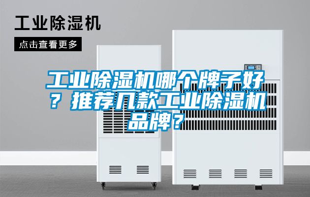 工業(yè)除濕機(jī)哪個牌子好？推薦幾款工業(yè)除濕機(jī)品牌？