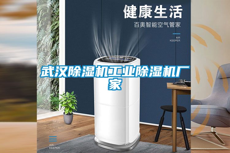 武漢除濕機(jī)工業(yè)除濕機(jī)廠(chǎng)家