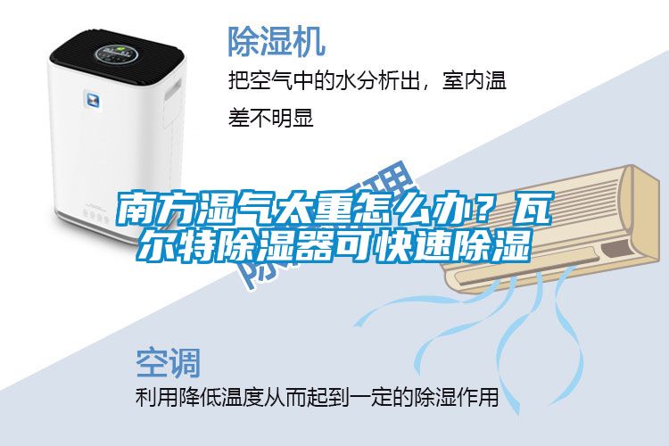 南方濕氣太重怎么辦？瓦爾特除濕器可快速除濕