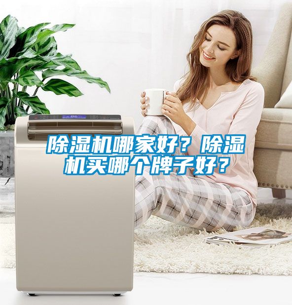 除濕機哪家好？除濕機買哪個牌子好？