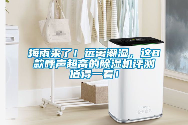 梅雨來了！遠(yuǎn)離潮濕，這8款呼聲超高的除濕機(jī)評(píng)測(cè)值得一看！