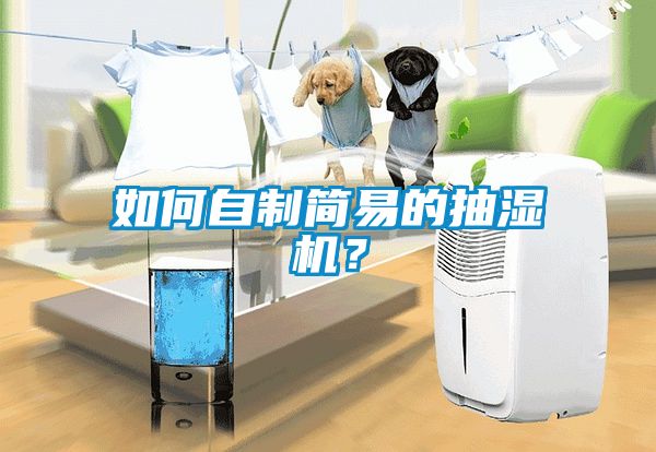 如何自制簡易的抽濕機(jī)？
