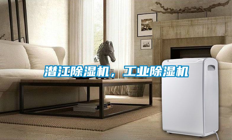 潛江除濕機，工業(yè)除濕機