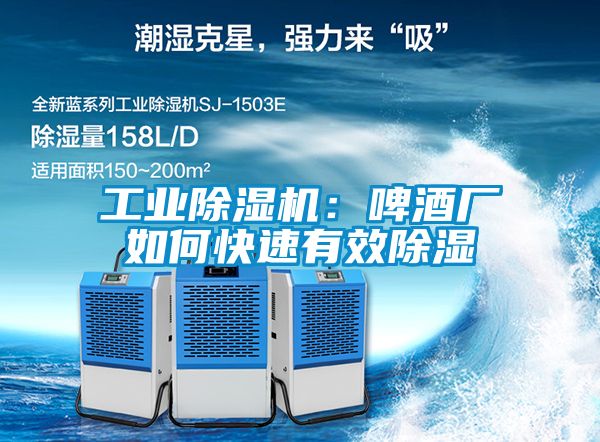 工業除濕機:啤酒廠如何快速有效除濕