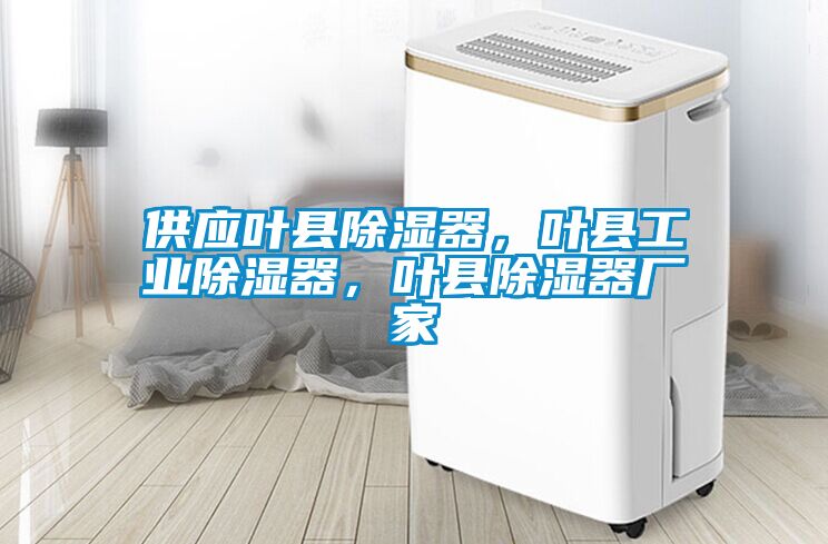 供應葉縣除濕器，葉縣工業除濕器，葉縣除濕器廠家