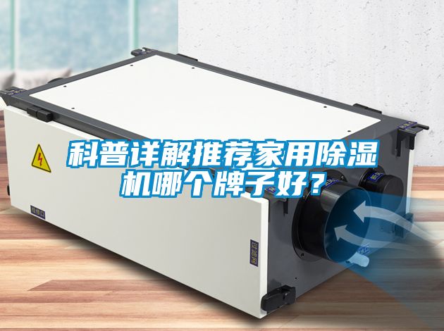 科普詳解推薦家用除濕機(jī)哪個(gè)牌子好？