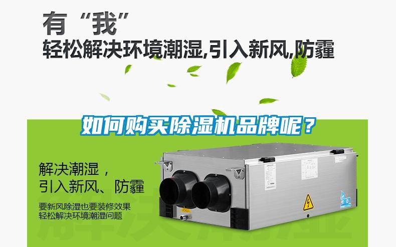 如何購買除濕機品牌呢？