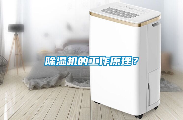 除濕機(jī)的工作原理？