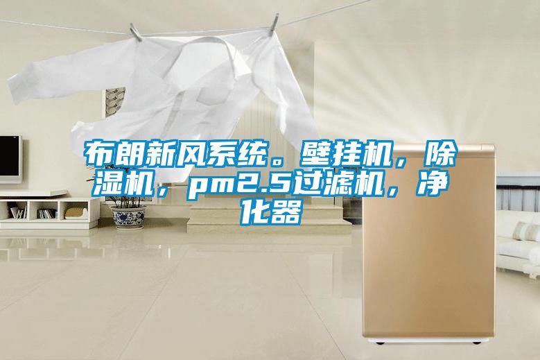 布朗新風(fēng)系統(tǒng)。壁掛機(jī)，除濕機(jī)，pm2.5過(guò)濾機(jī)，凈化器