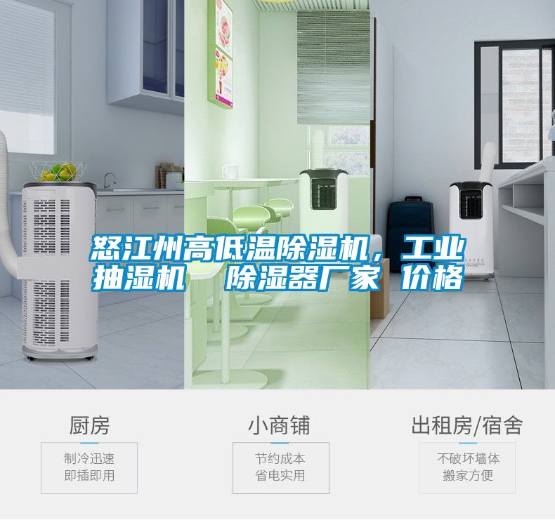 怒江州高低溫除濕機(jī)，工業(yè)抽濕機(jī)  除濕器廠家 價(jià)格