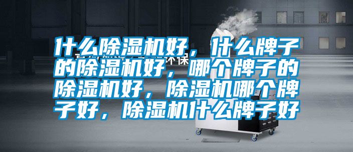 什么除濕機(jī)好，什么牌子的除濕機(jī)好，哪個牌子的除濕機(jī)好，除濕機(jī)哪個牌子好，除濕機(jī)什么牌子好