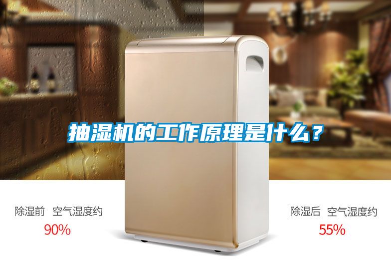 抽濕機的工作原理是什么？