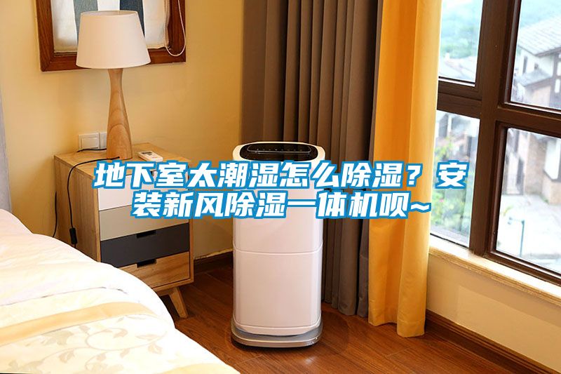 地下室太潮濕怎么除濕？安裝新風(fēng)除濕一體機唄~