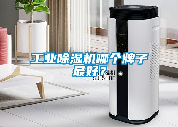 工業(yè)除濕機哪個牌子最好？